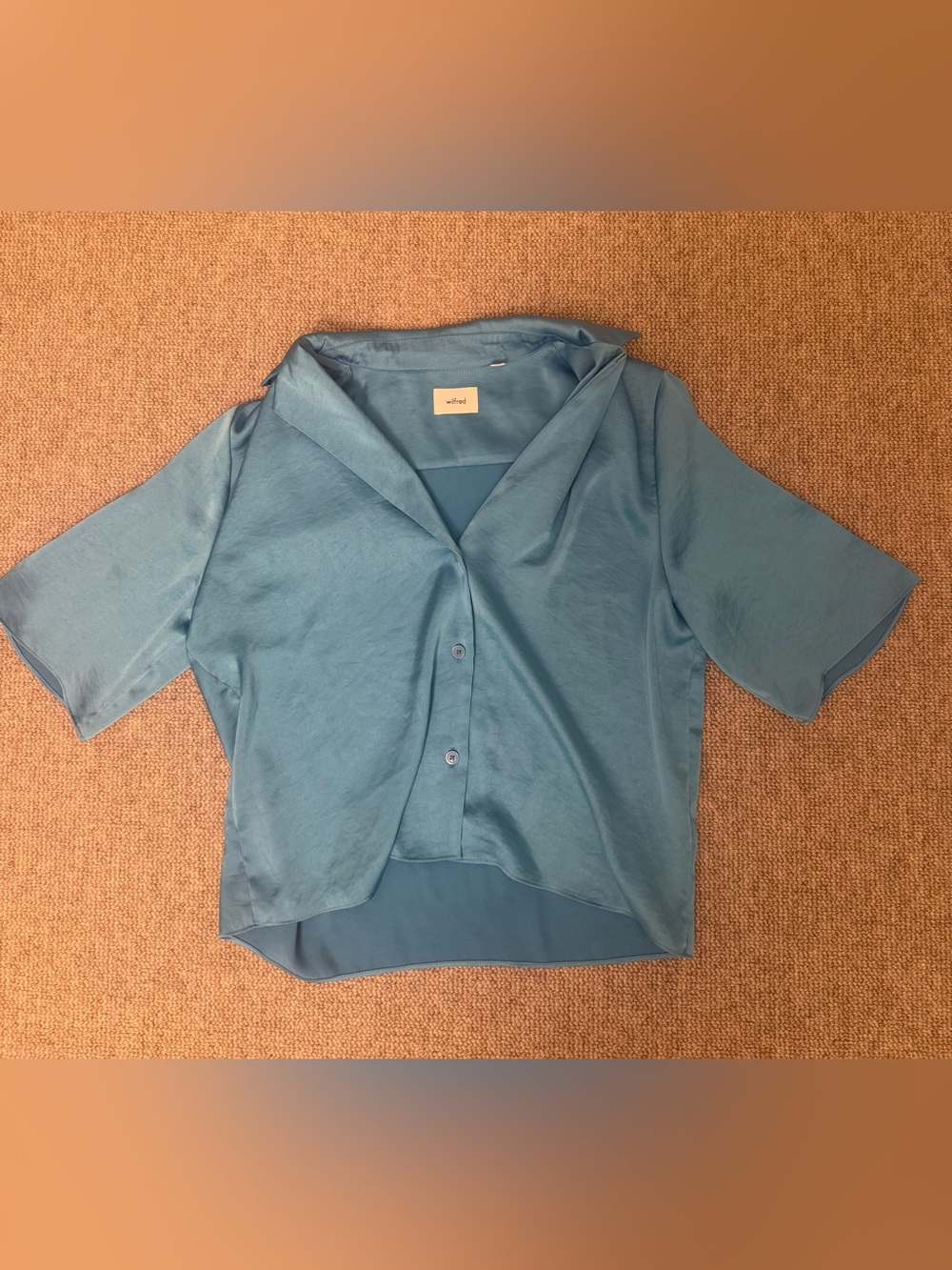 Aritzia Light Blue Short-Sleeve Button Front Top